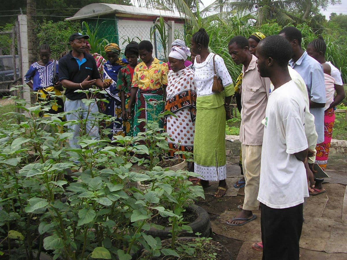 Integrated Farming Support Services