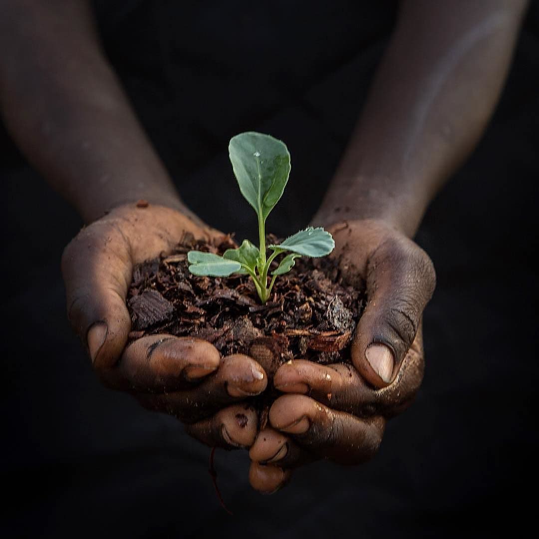 From Seed to Market, End to End